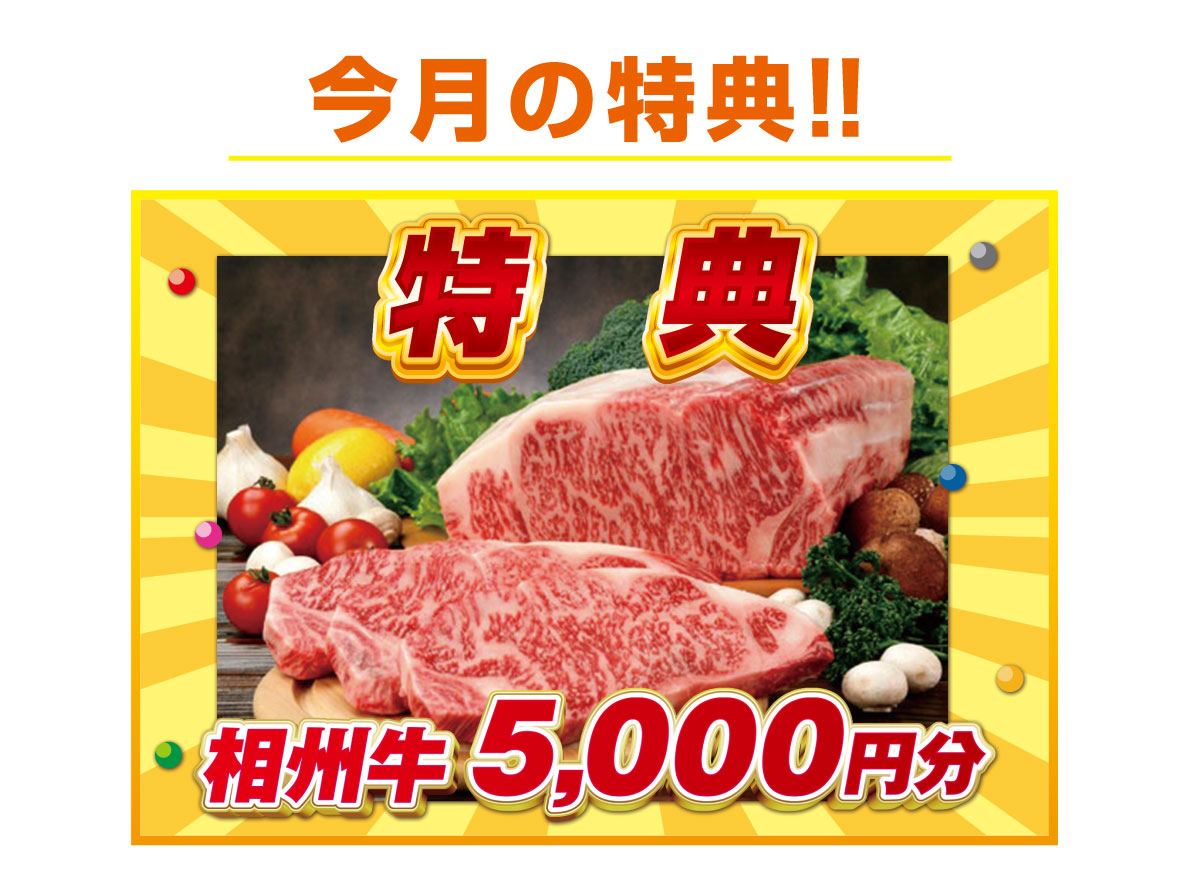 今月の特典！！